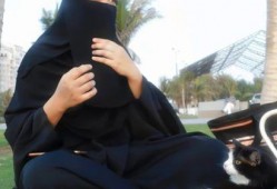 娱乐吃瓜君又上脚,新鞋上脚引发热议！