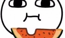 微信里吃瓜的表情是什么意思,网络社交中的趣味解读