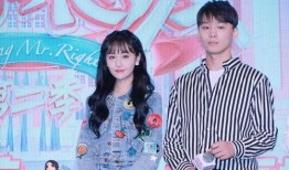 娱乐圈吃瓜解说,揭秘明星背后的故事与真相